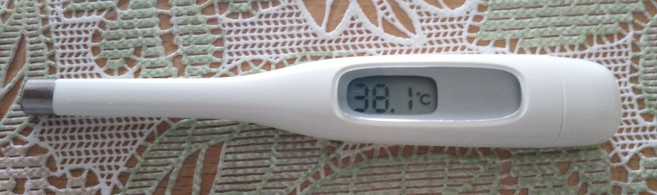 f:id:manmaruheart:20210701124326j:plain