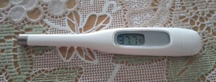 f:id:manmaruheart:20210702185140j:plain