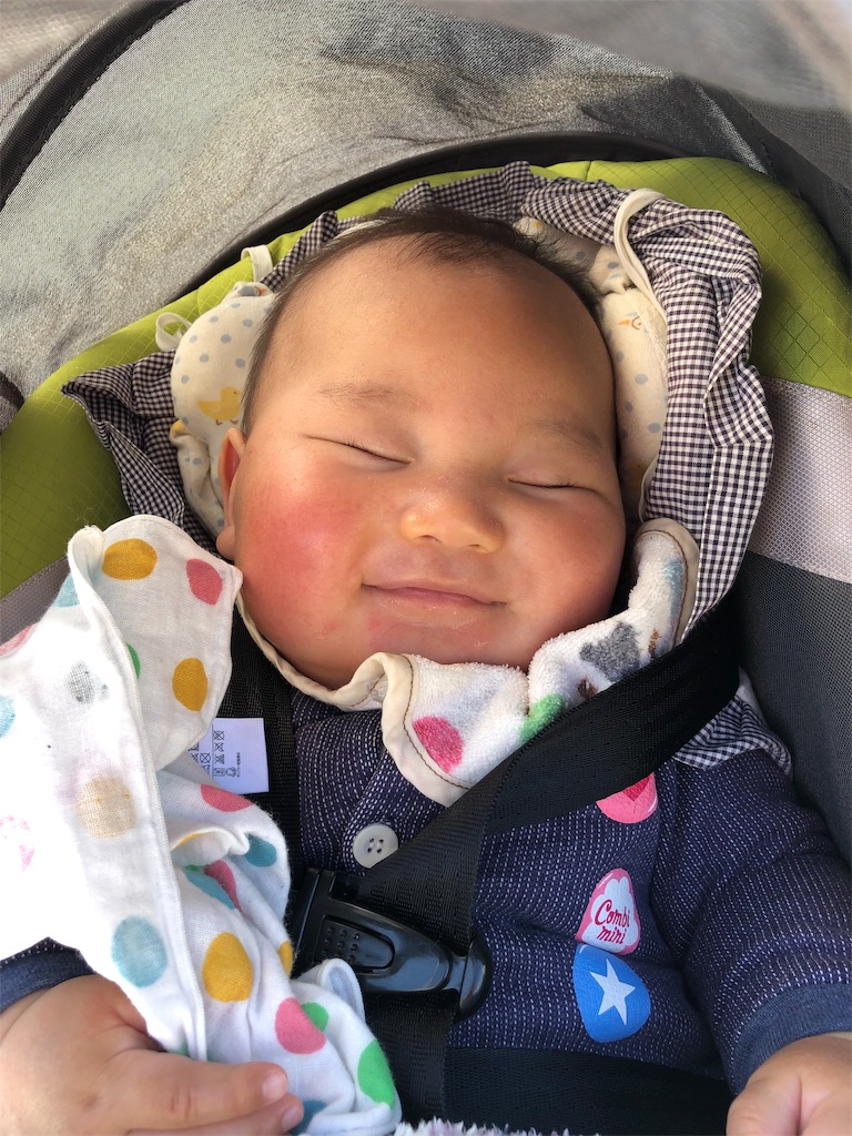 f:id:manmarupokapoka:20190501161025j:image f:id:manmarupokapoka:20190501161025j:image