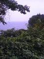 20070708163900