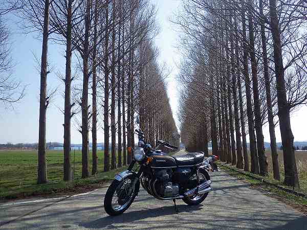 f:id:mannenNA:20190811200153j:plain