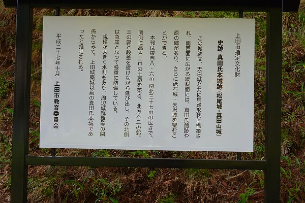 イメージ 8