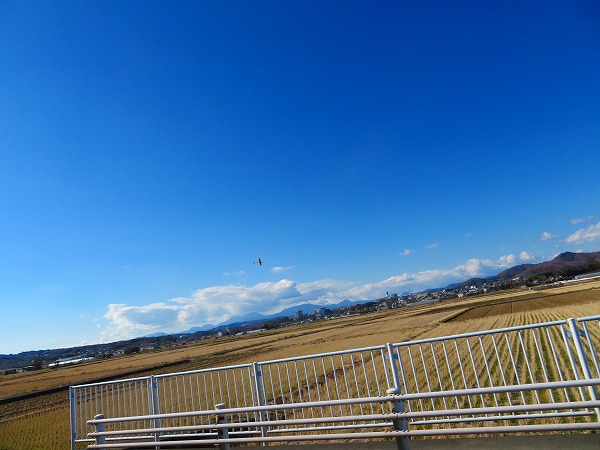 イメージ 6