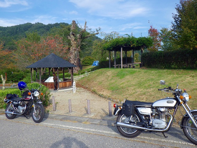 イメージ 7