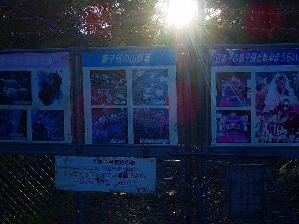 イメージ 7