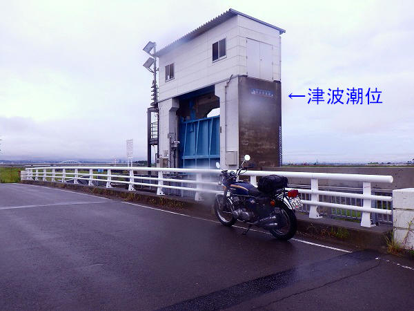 イメージ 7
