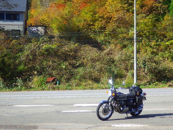 イメージ 17