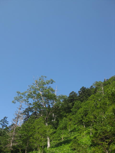 イメージ 5