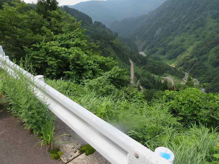 f:id:mannenNA:20190904183411j:plain