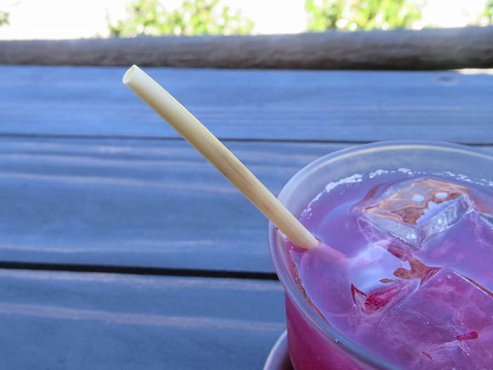 f:id:mannenNA:20190908181308j:plain