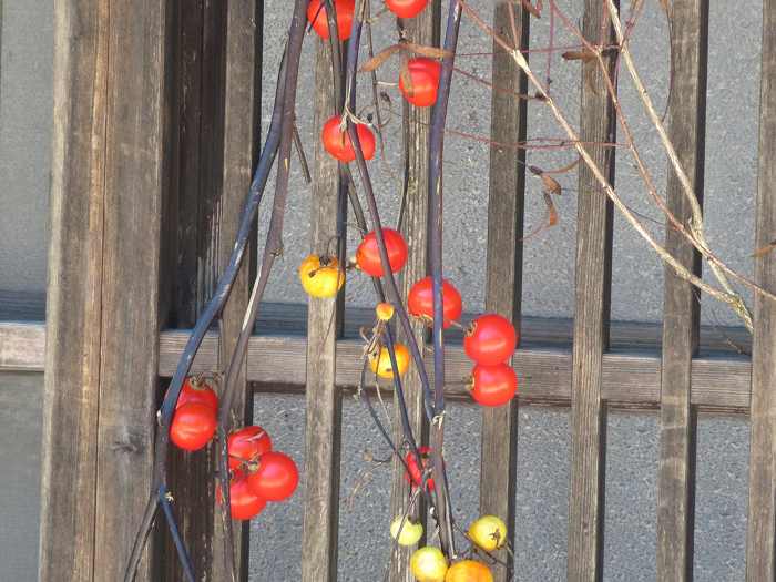 f:id:mannenNA:20190910161803j:plain f:id:mannenNA:20190910161803j:plain