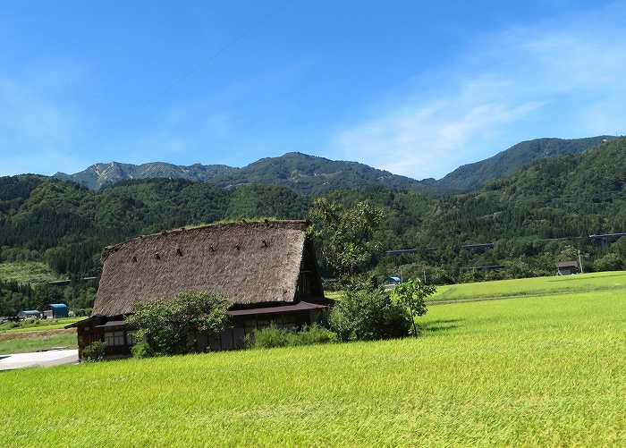 f:id:mannenNA:20190910164311j:plain f:id:mannenNA:20190910164311j:plain