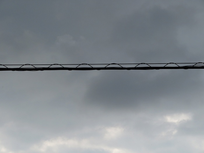 f:id:mannenNA:20190916152006j:plain f:id:mannenNA:20190916152006j:plain