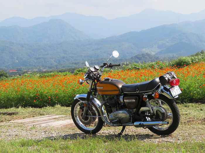 f:id:mannenNA:20190916184111j:plain