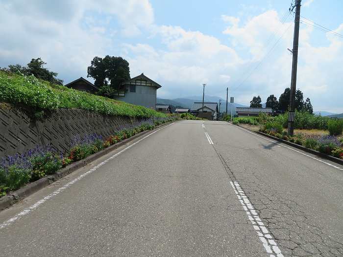 f:id:mannenNA:20190926182943j:plain f:id:mannenNA:20190926182943j:plain