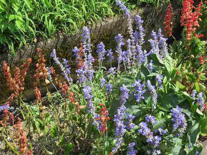 f:id:mannenNA:20190926183001j:plain f:id:mannenNA:20190926183001j:plain