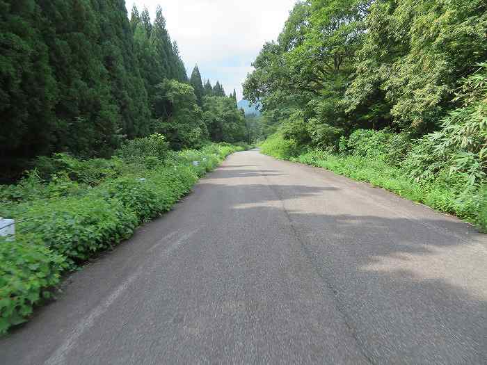 f:id:mannenNA:20190926183057j:plain f:id:mannenNA:20190926183057j:plain