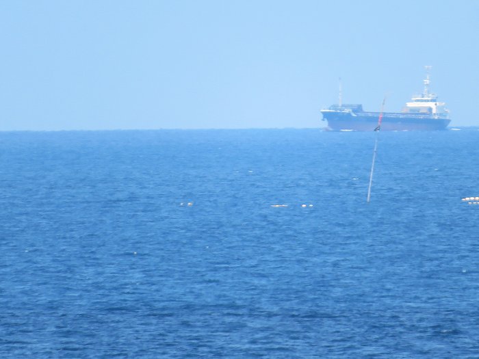 f:id:mannenNA:20190930193143j:plain f:id:mannenNA:20190930193143j:plain