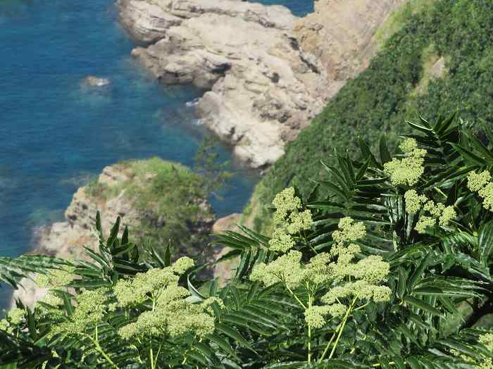 f:id:mannenNA:20190930193415j:plain f:id:mannenNA:20190930193415j:plain