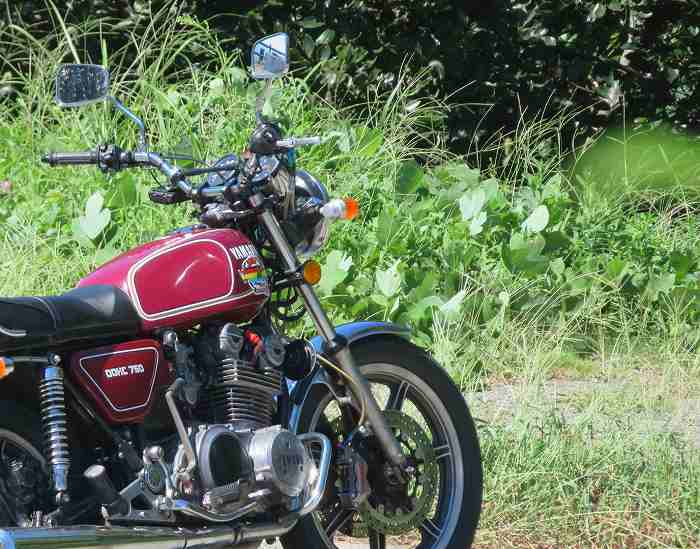 f:id:mannenNA:20191008194741j:plain