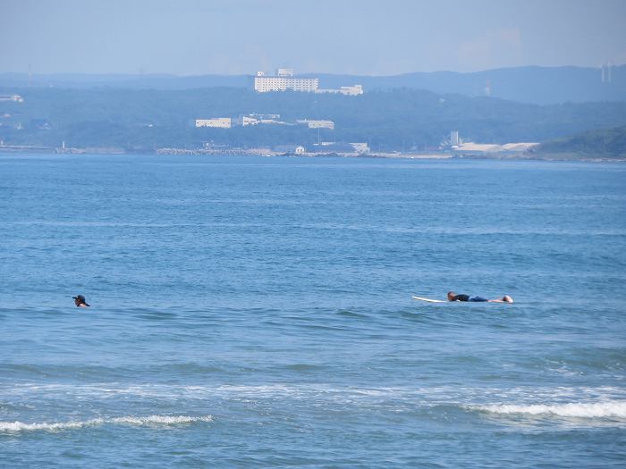 f:id:mannenNA:20191011210035j:plain