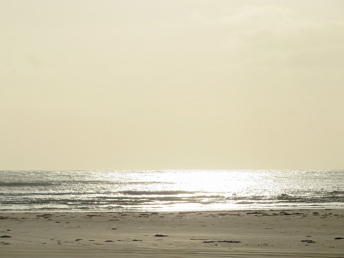 f:id:mannenNA:20191014004109j:plain