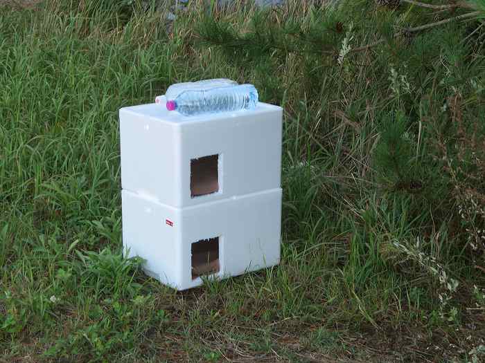 f:id:mannenNA:20191014004246j:plain