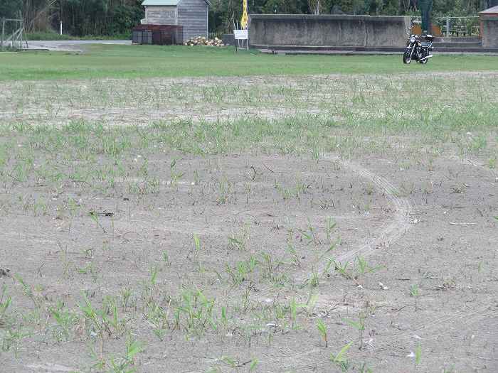 f:id:mannenNA:20191017185253j:plain