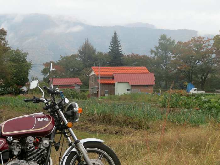 f:id:mannenNA:20191027175123j:plain