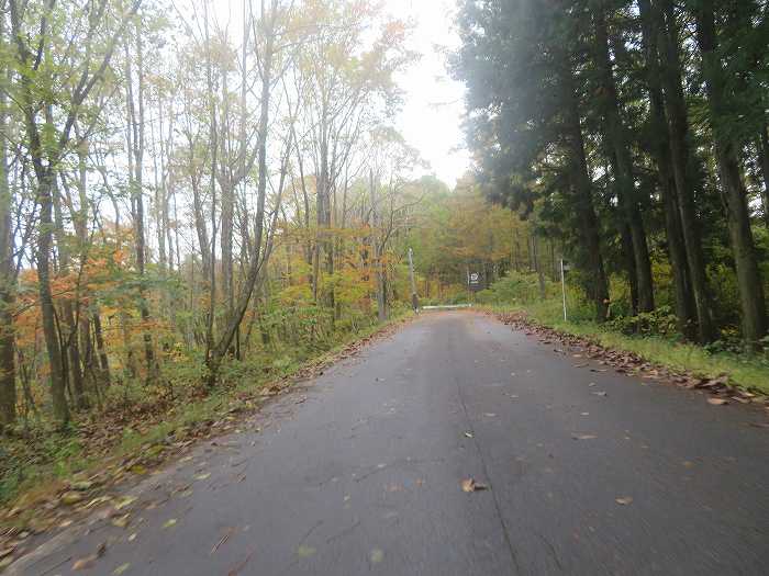 f:id:mannenNA:20191029183938j:plain