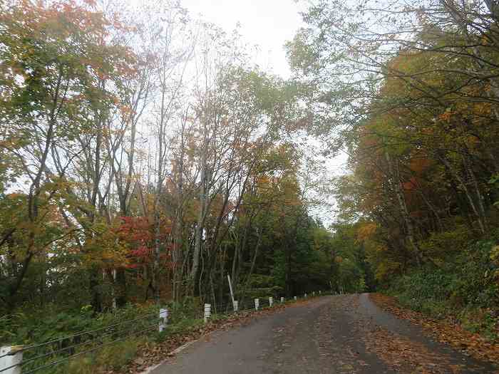 f:id:mannenNA:20191029184010j:plain