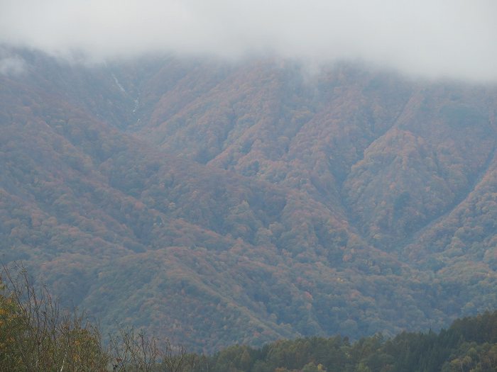 f:id:mannenNA:20191029184115j:plain