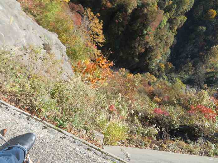 f:id:mannenNA:20191109175323j:plain