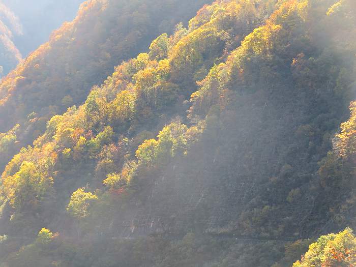 f:id:mannenNA:20191109175422j:plain