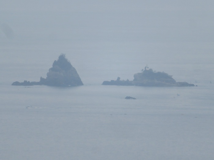 f:id:mannenNA:20191114210822j:plain f:id:mannenNA:20191114210822j:plain