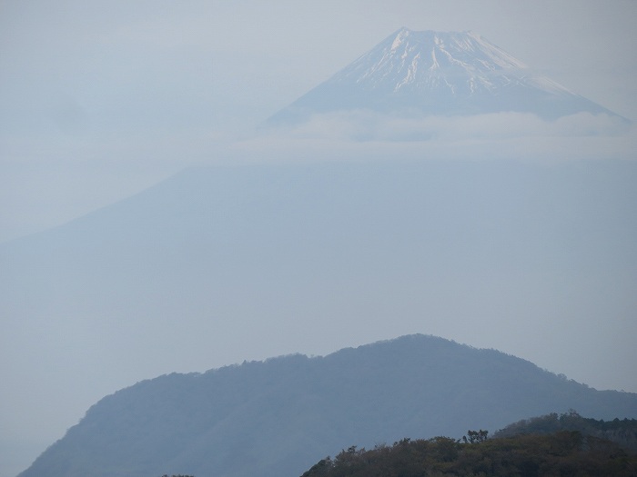 f:id:mannenNA:20191114210839j:plain f:id:mannenNA:20191114210839j:plain