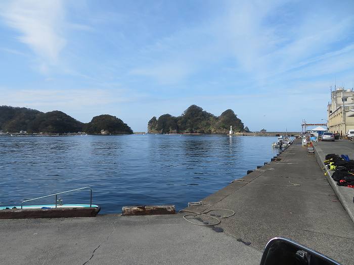 f:id:mannenNA:20191115171724j:plain