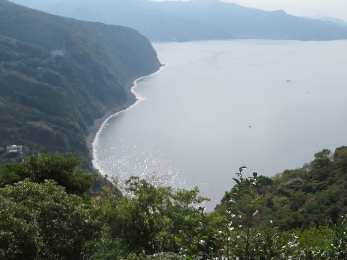 f:id:mannenNA:20191115171954j:plain