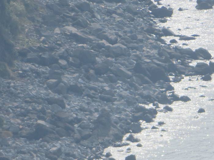 f:id:mannenNA:20191115172112j:plain