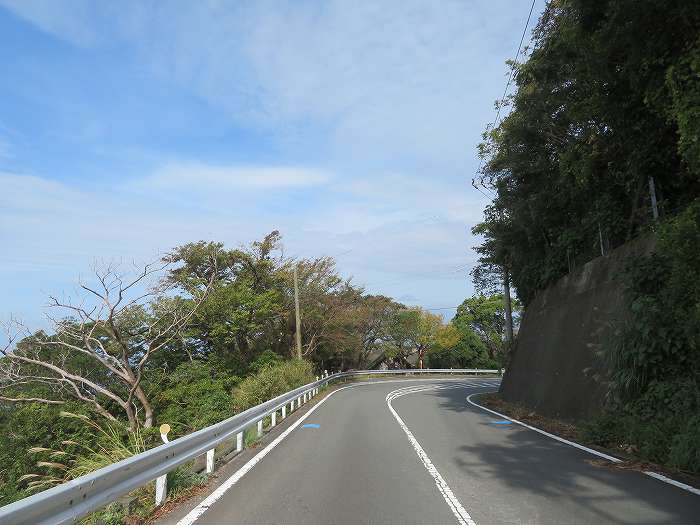 f:id:mannenNA:20191115172219j:plain