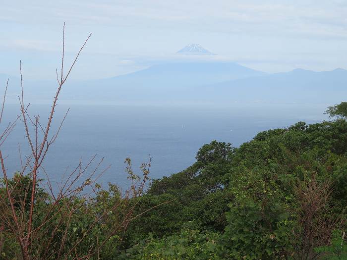 f:id:mannenNA:20191115172538j:plain