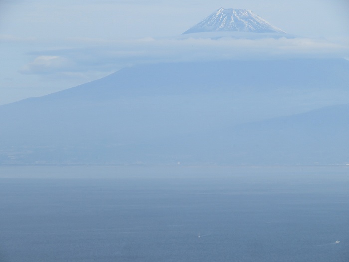 f:id:mannenNA:20191115172601j:plain