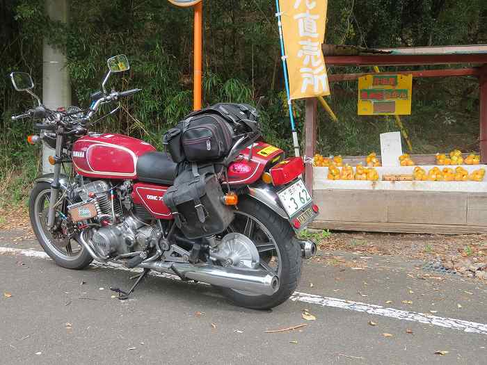 f:id:mannenNA:20191115172621j:plain