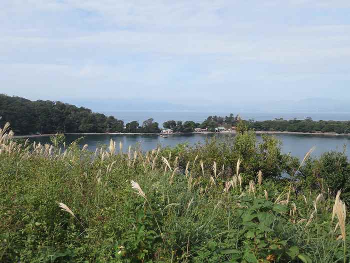 f:id:mannenNA:20191115172725j:plain