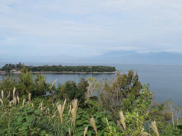 f:id:mannenNA:20191115172742j:plain