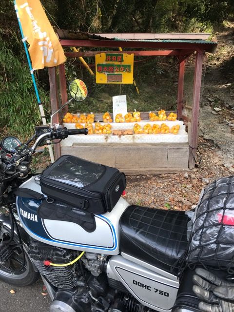 f:id:mannenNA:20191115175038j:plain