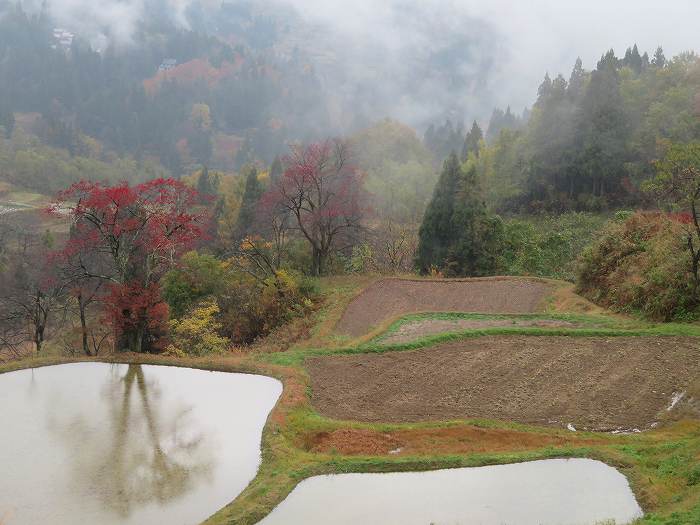 f:id:mannenNA:20191117235416j:plain