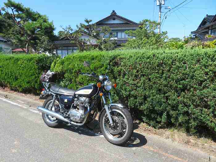 f:id:mannenNA:20191120203144j:plain f:id:mannenNA:20191120203144j:plain