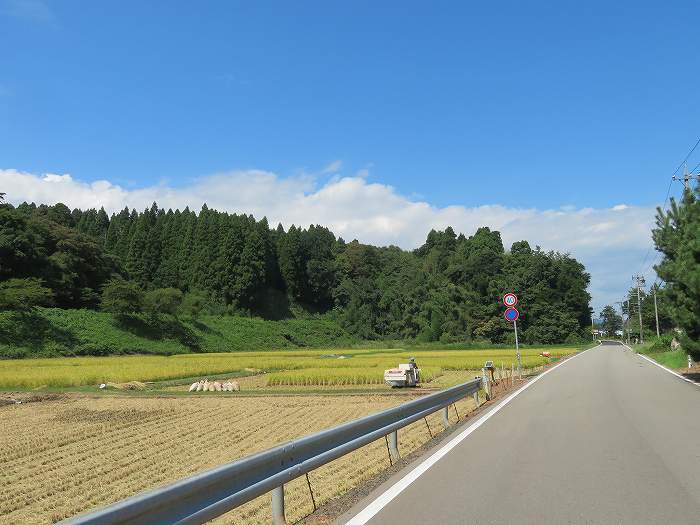 f:id:mannenNA:20191120203526j:plain f:id:mannenNA:20191120203526j:plain