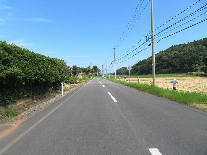 f:id:mannenNA:20191122194059j:plain f:id:mannenNA:20191122194059j:plain